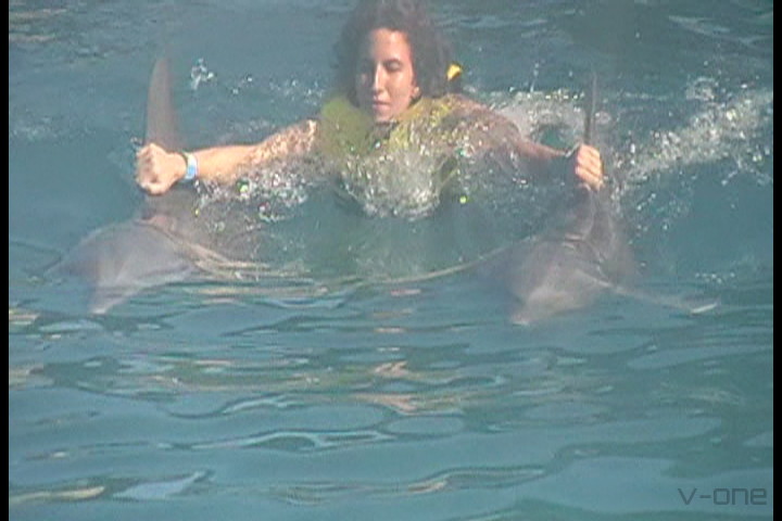 2009 DomRep2