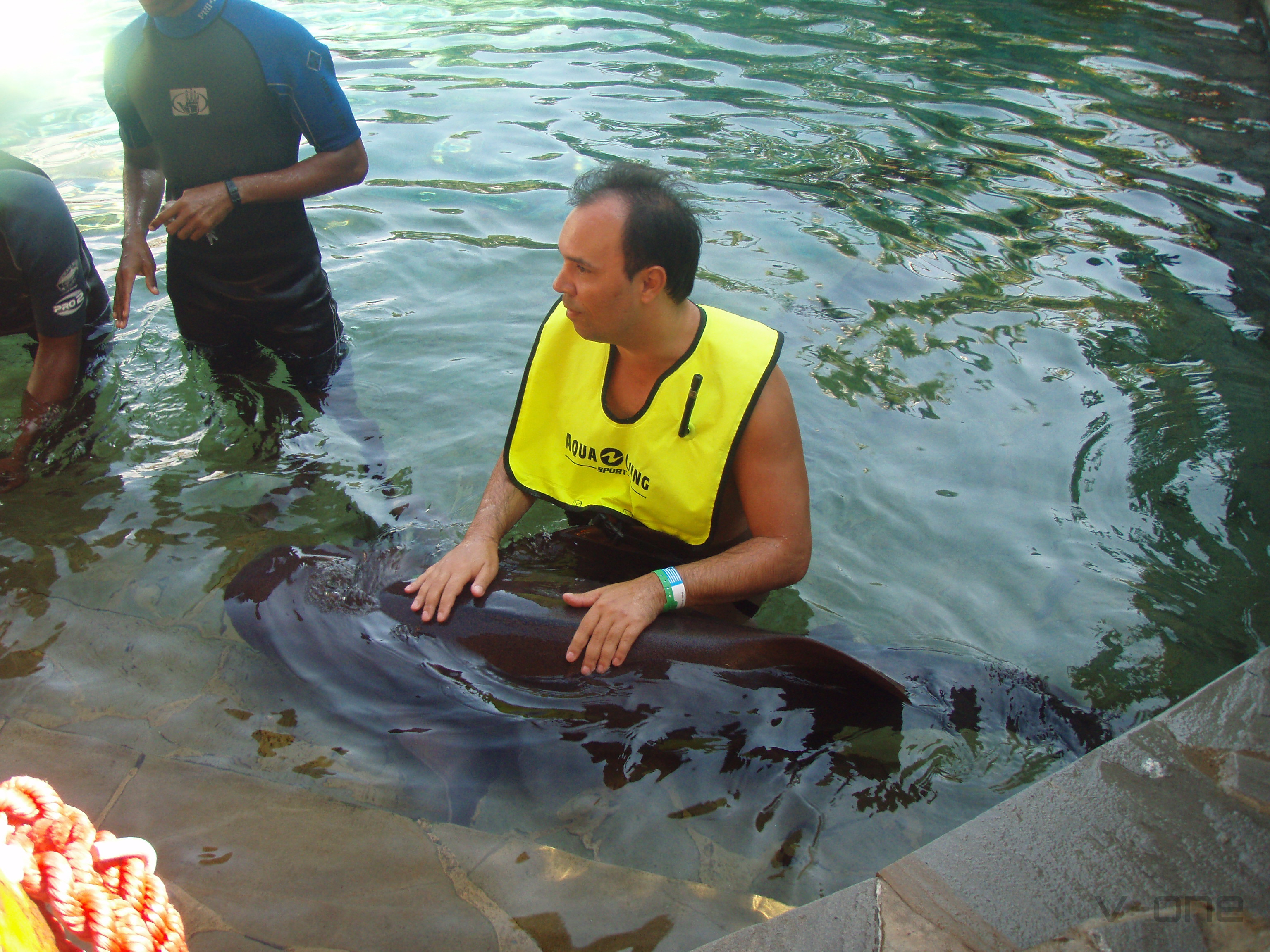 2009 DomRep5