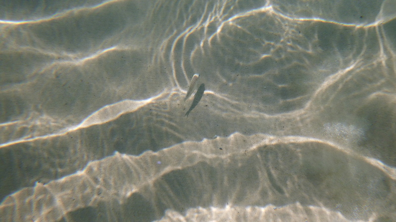 P1000439