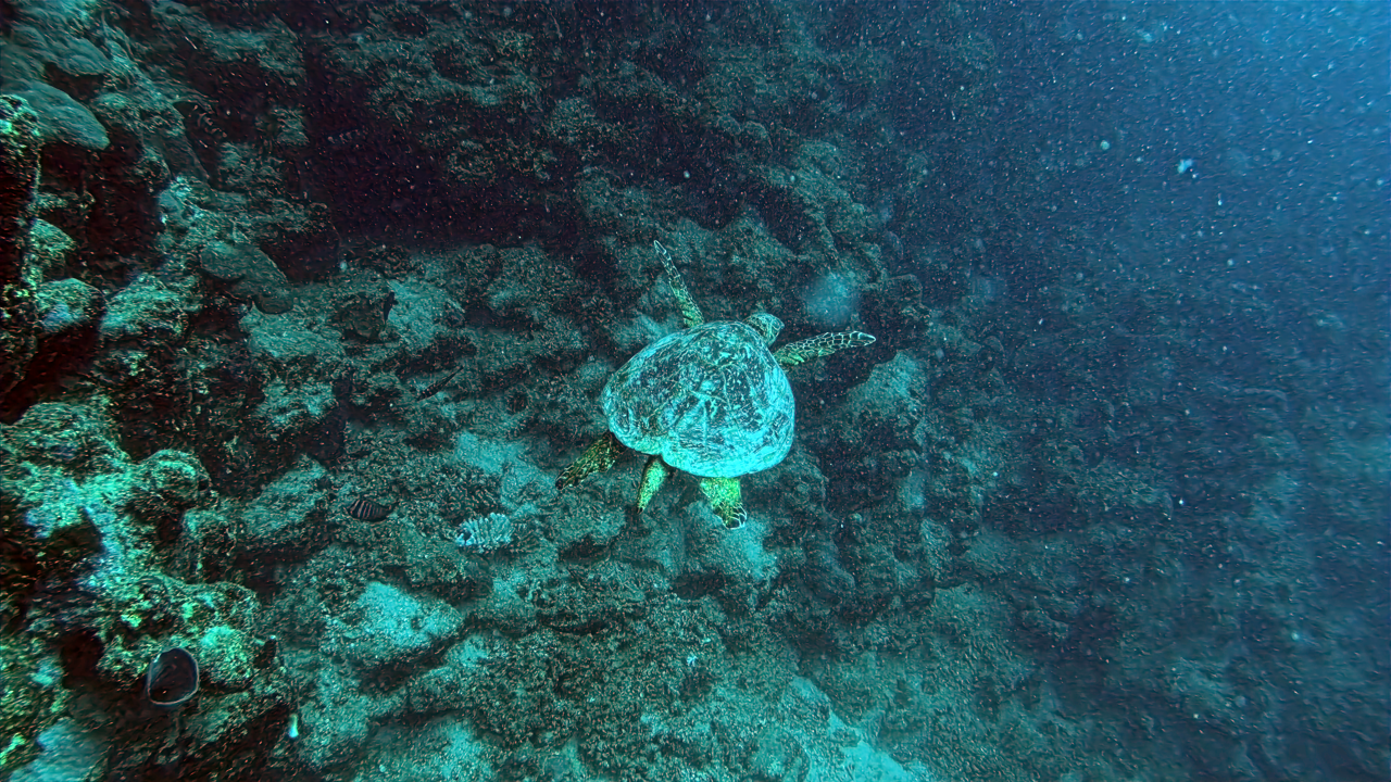 IMG_20250319_153512_160 Large