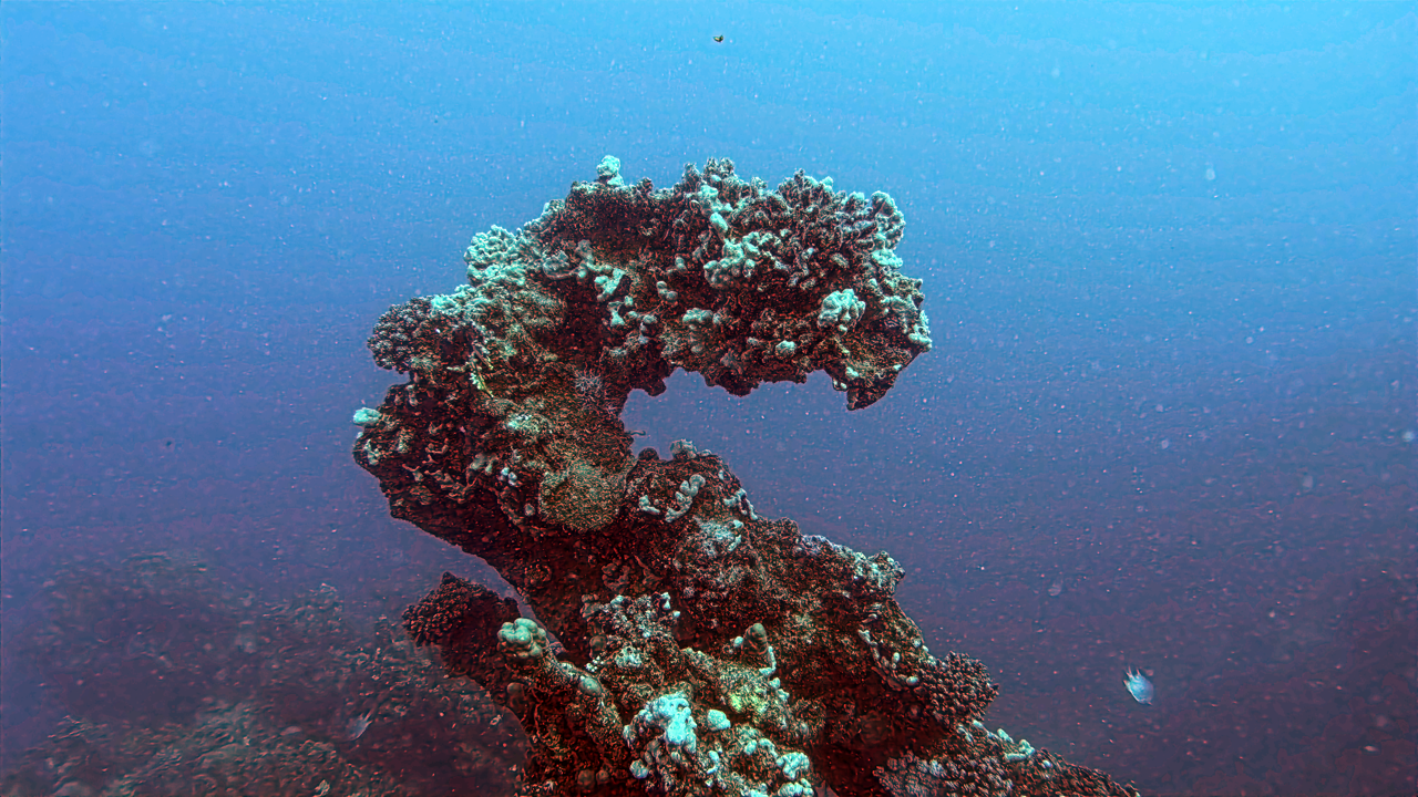 IMG_20250320_101337_169 Large