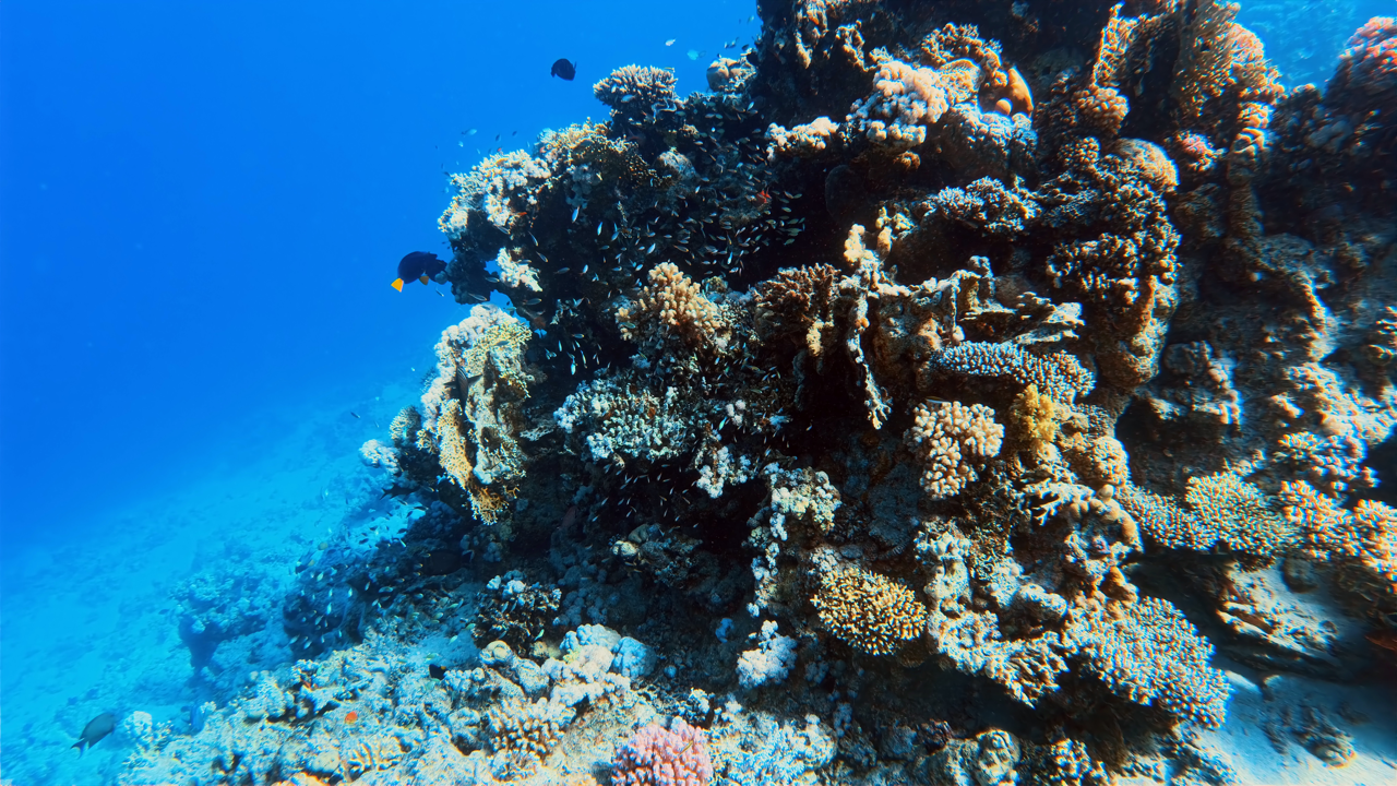 IMG_20250614_145847_318 Large
