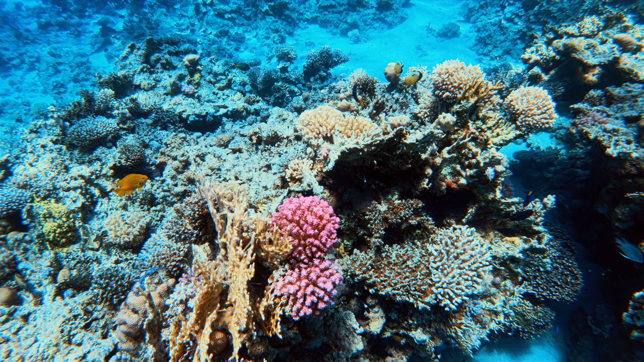 IMG_20250615_092134_344 Large