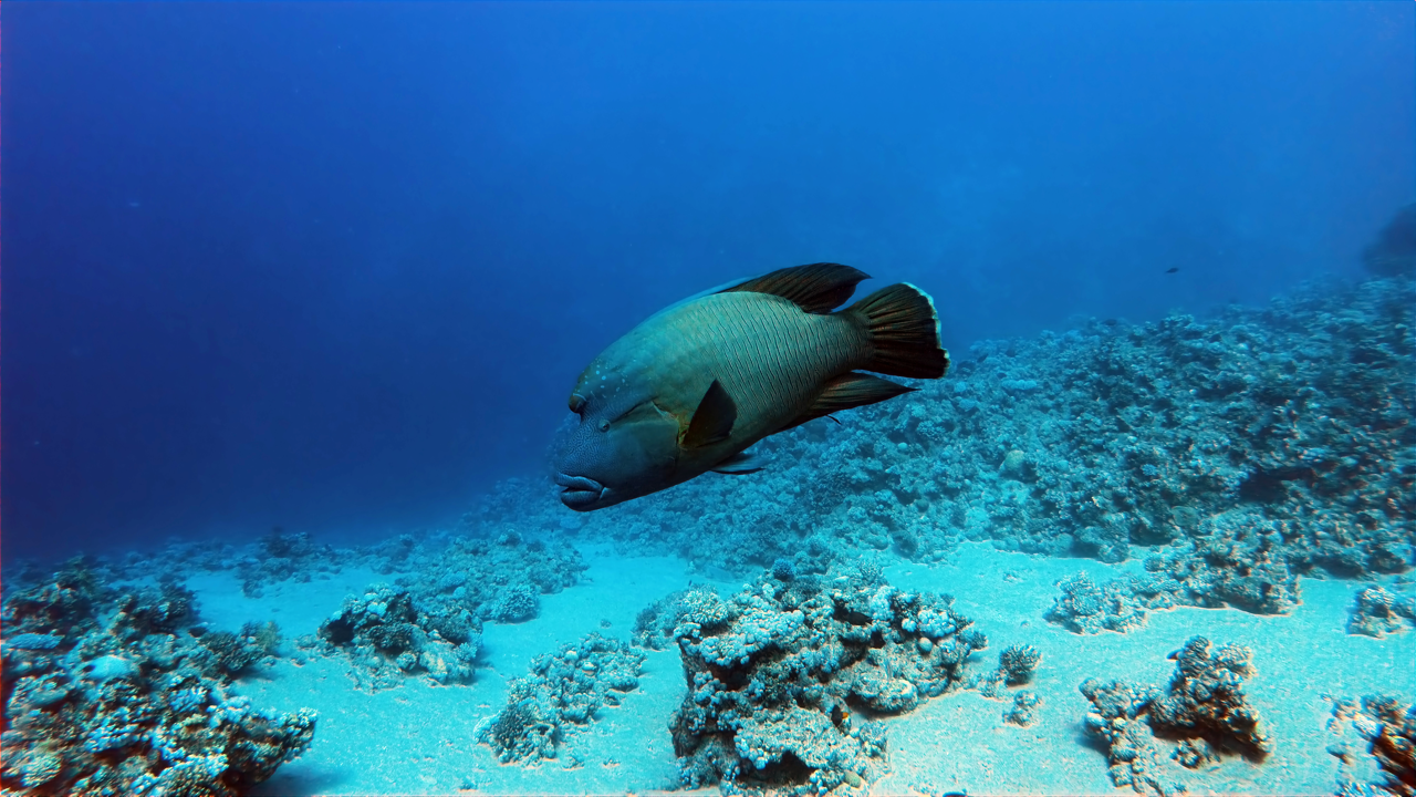 IMG_20250618_083822_429 Large