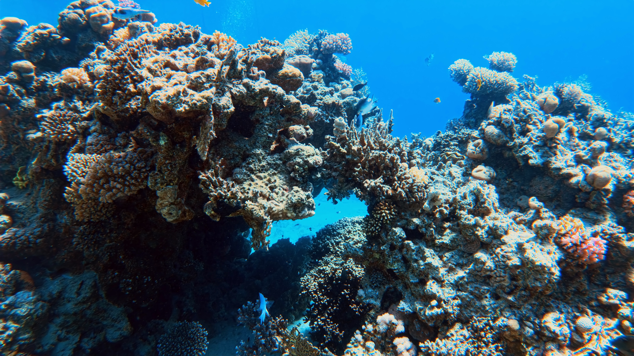 IMG_20250618_090319_451 Large