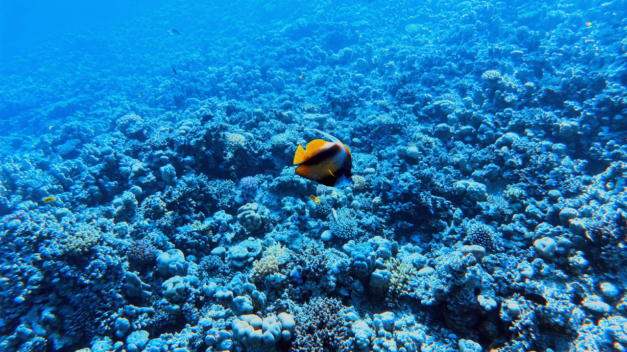 IMG_20250724_145918_527 Large