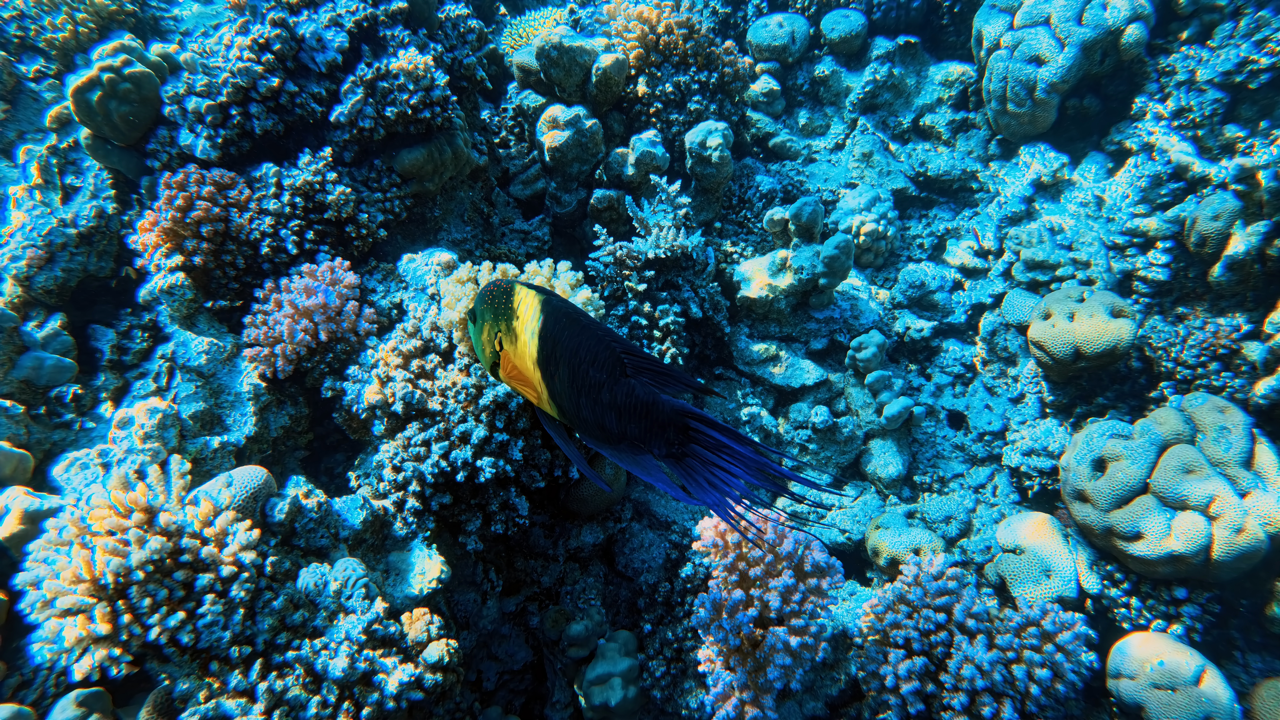 IMG_20250725_150104_575 Large