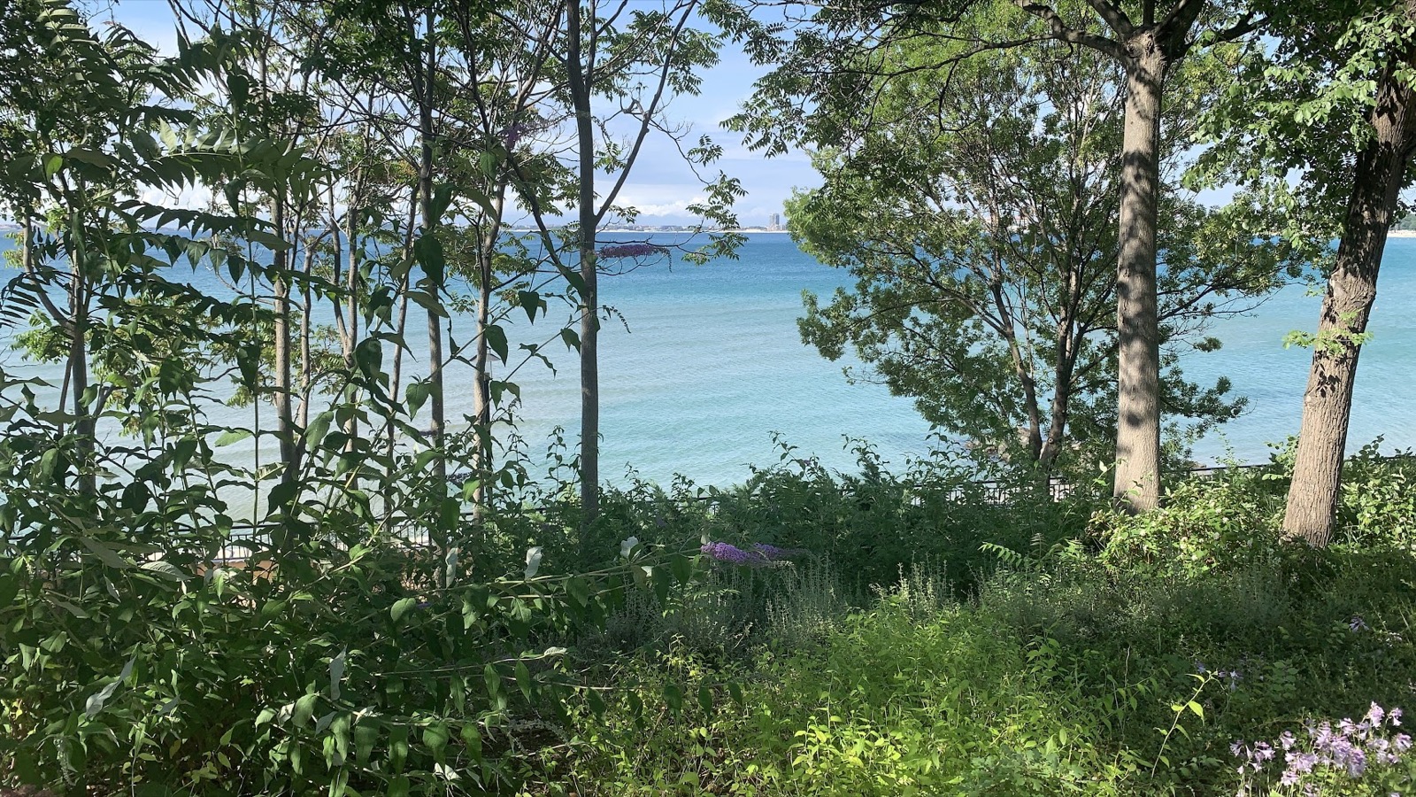 beach3