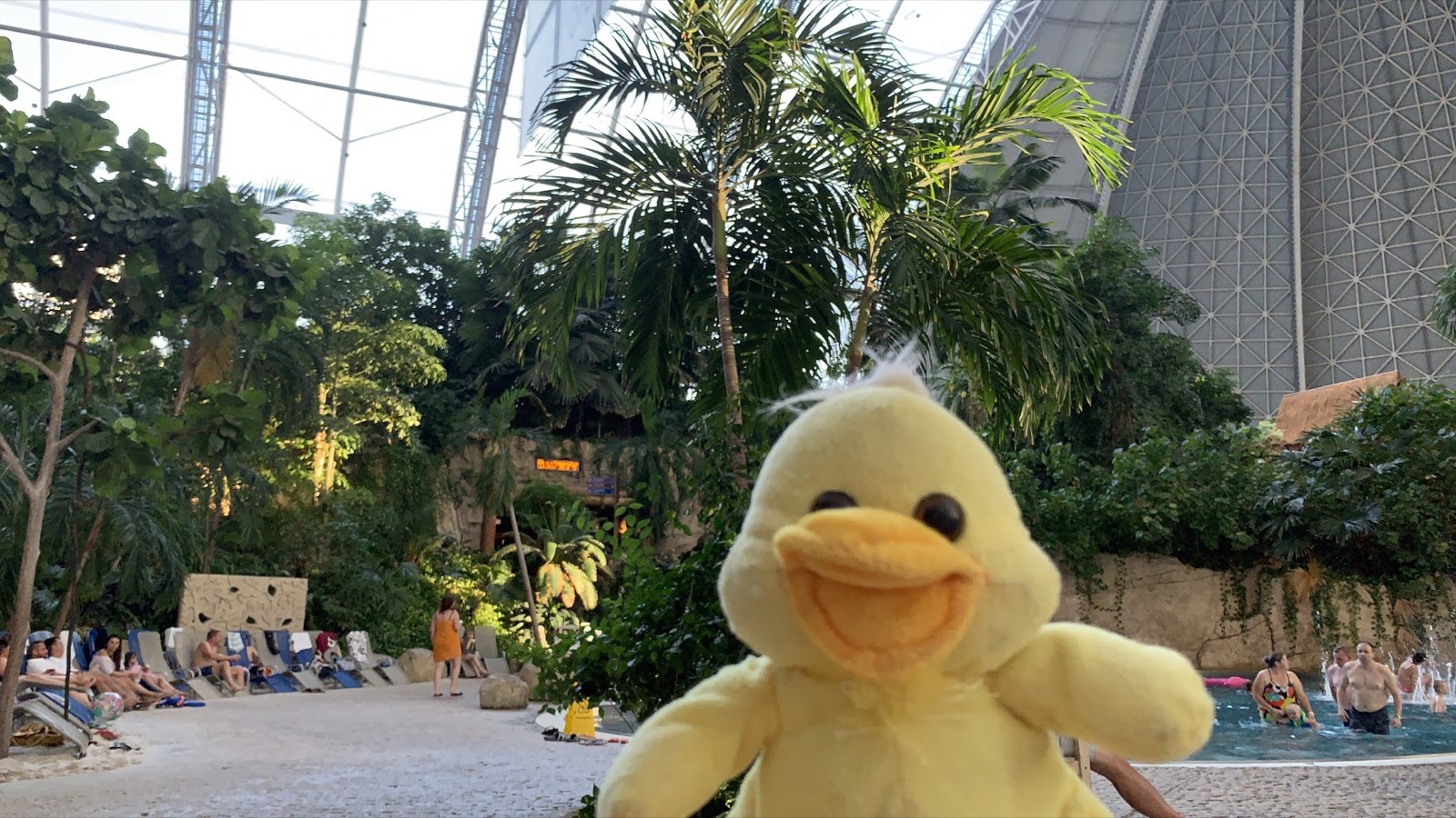 tropicalkacsa