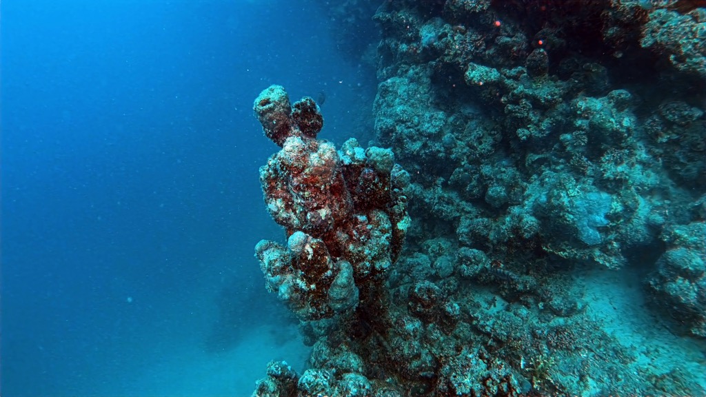 dive01