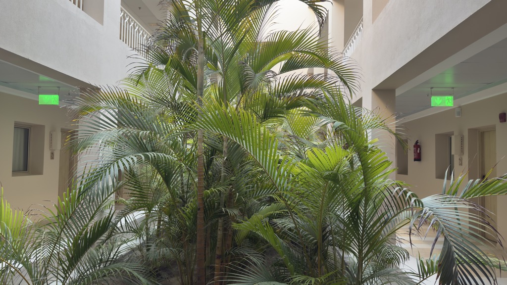 environment01