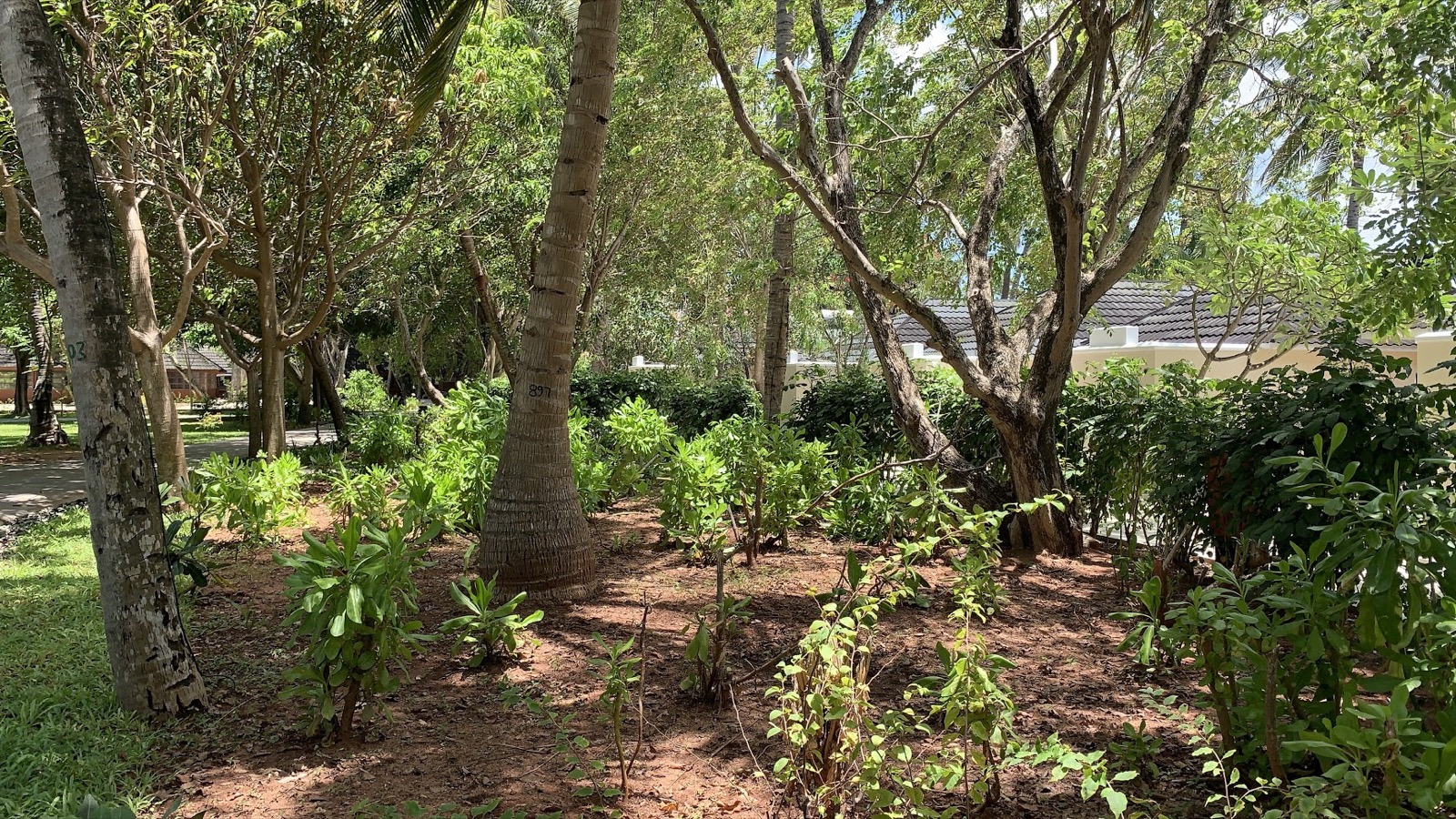 environment10