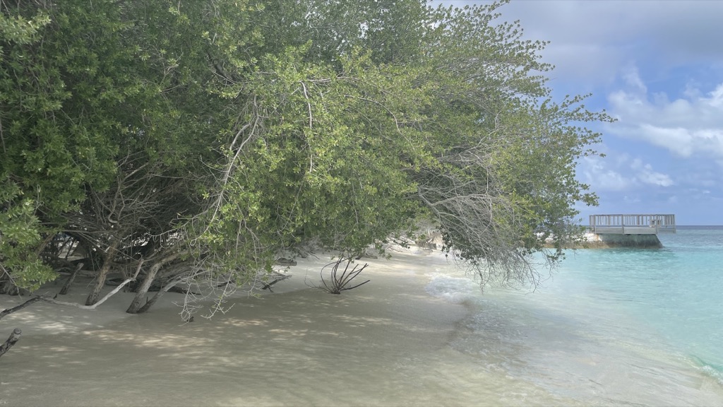 environment07