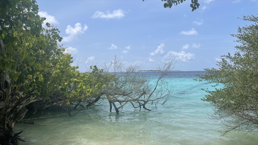 environment10