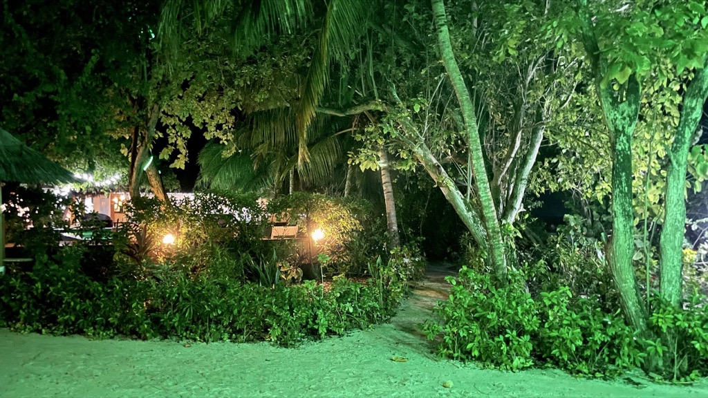 environment12