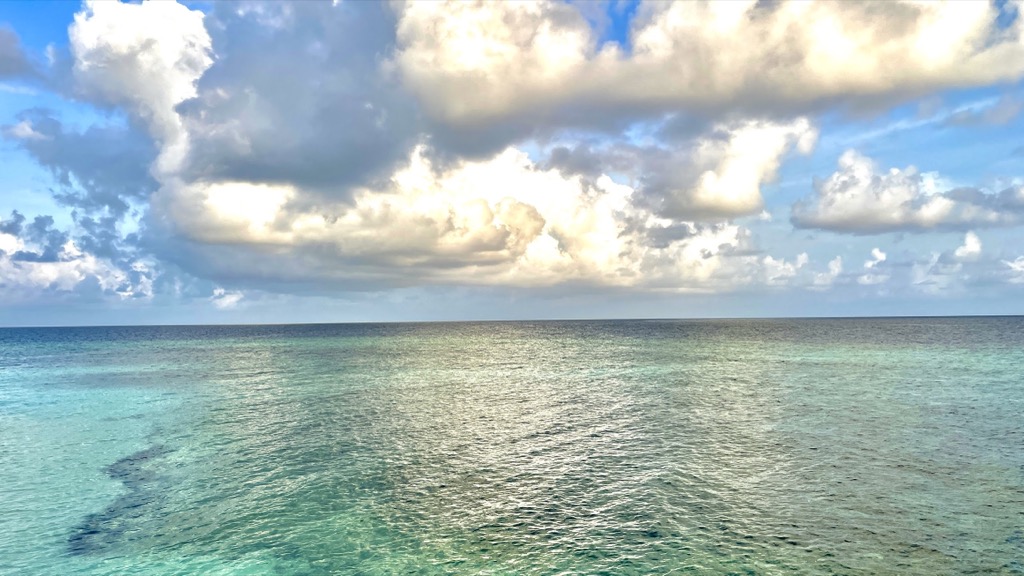 sea02