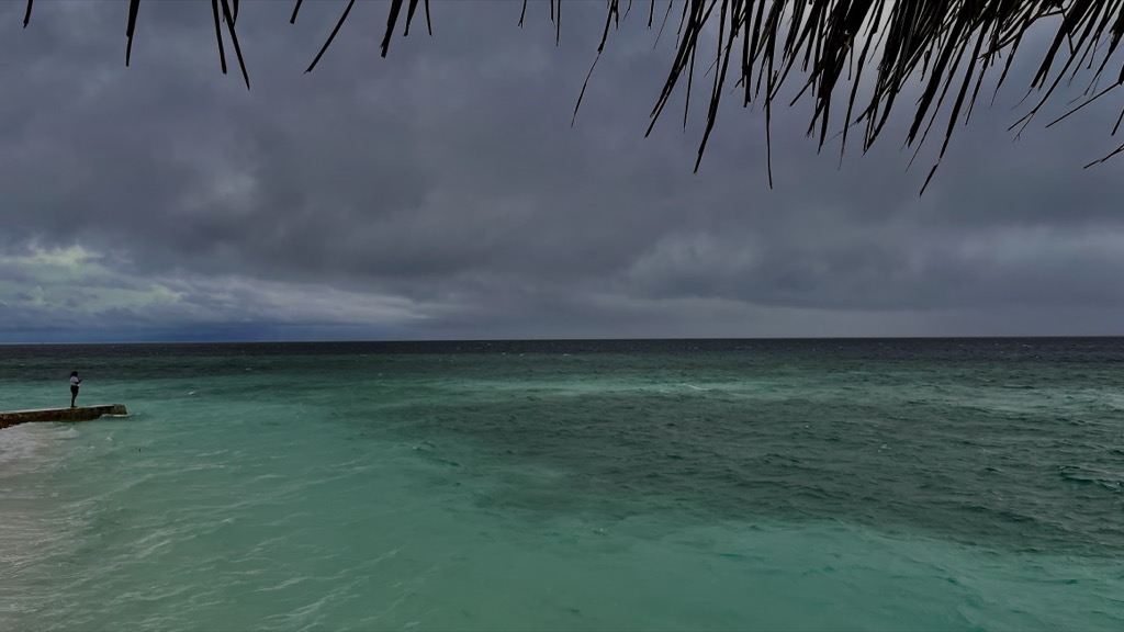 sea06