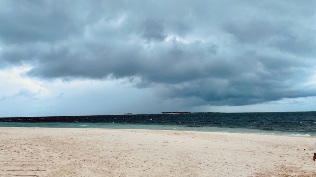 sea08