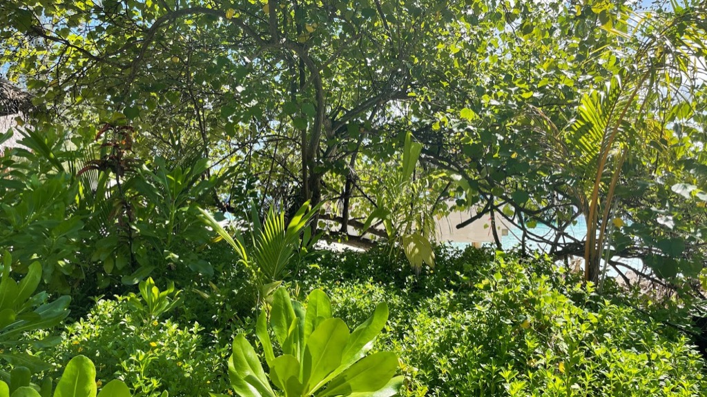 nature03