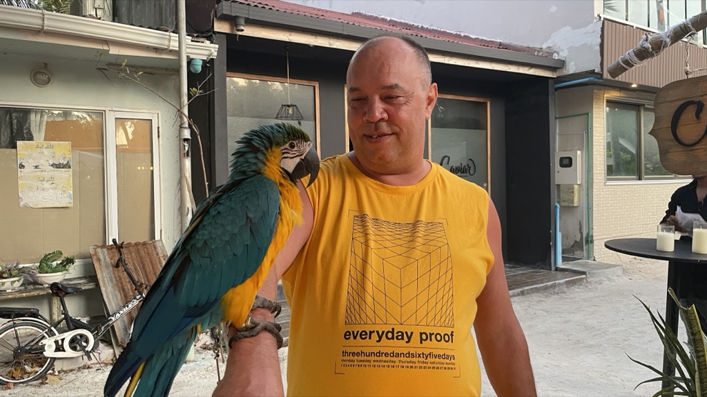 parrot01