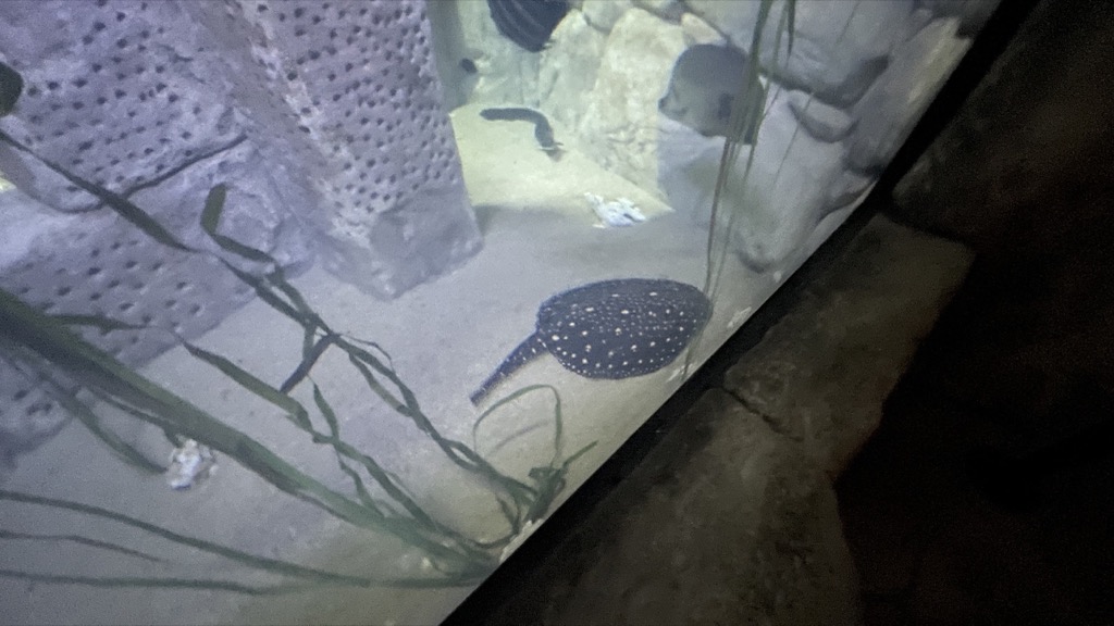 Aquarium01