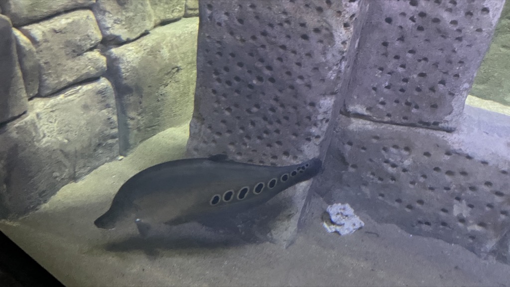 Aquarium02