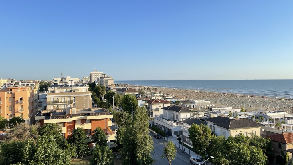 view