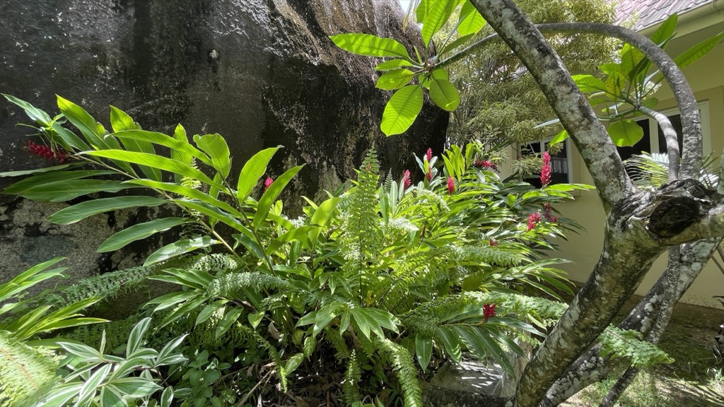 flowers01