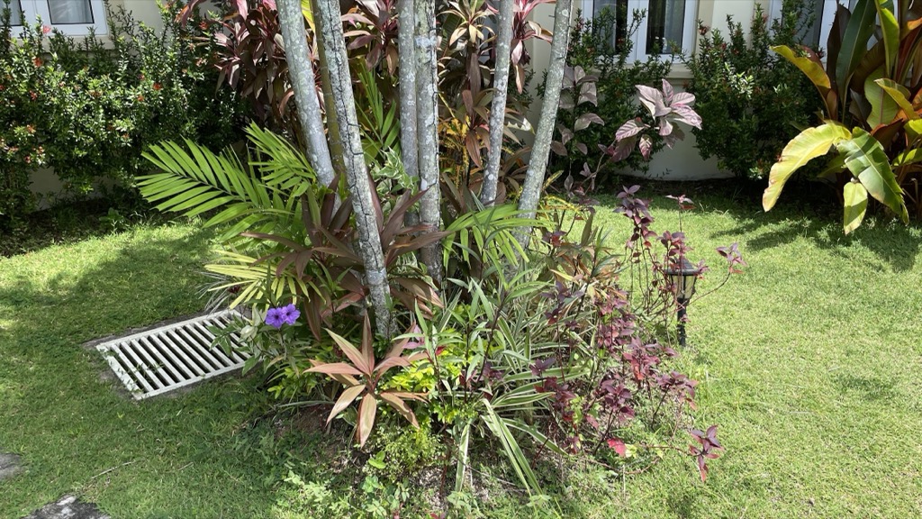 flowers03