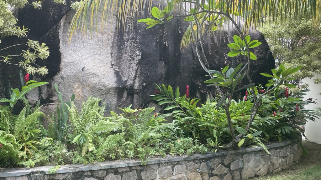 garden04