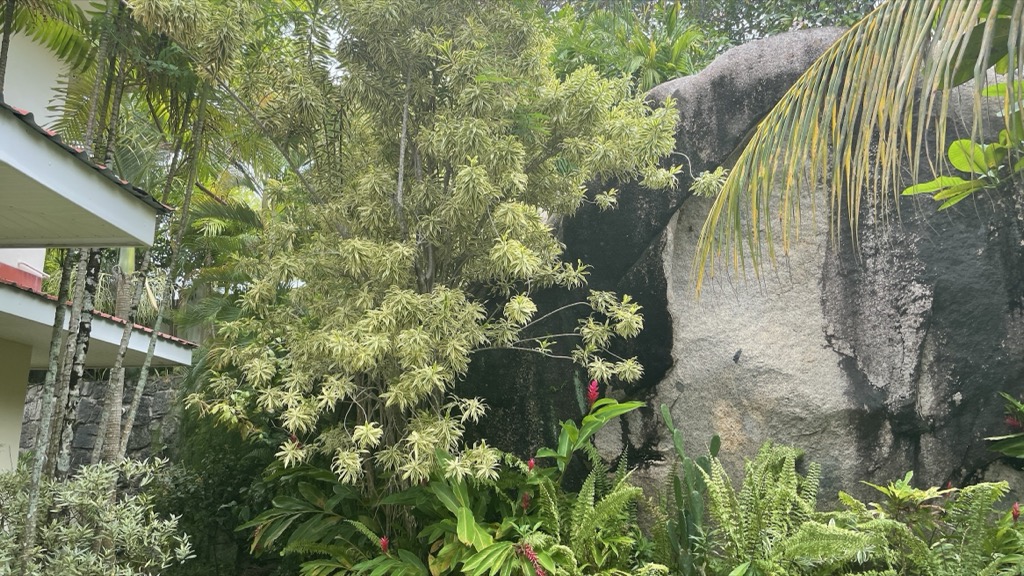 garden05