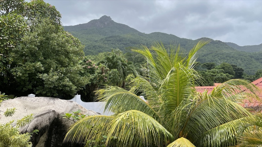 view01