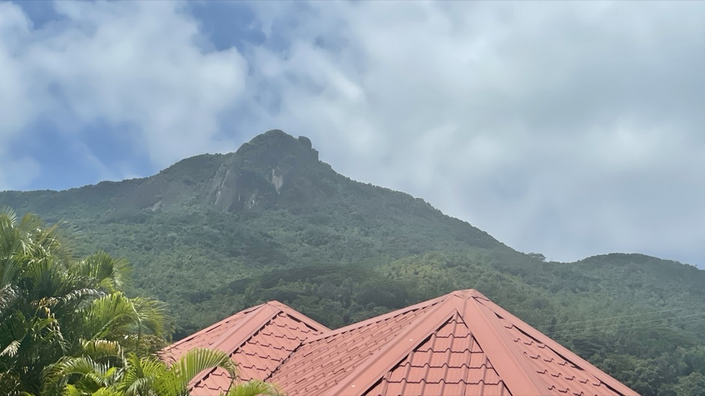 view02