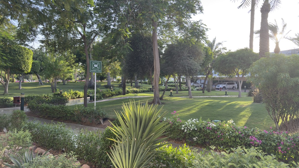 view09