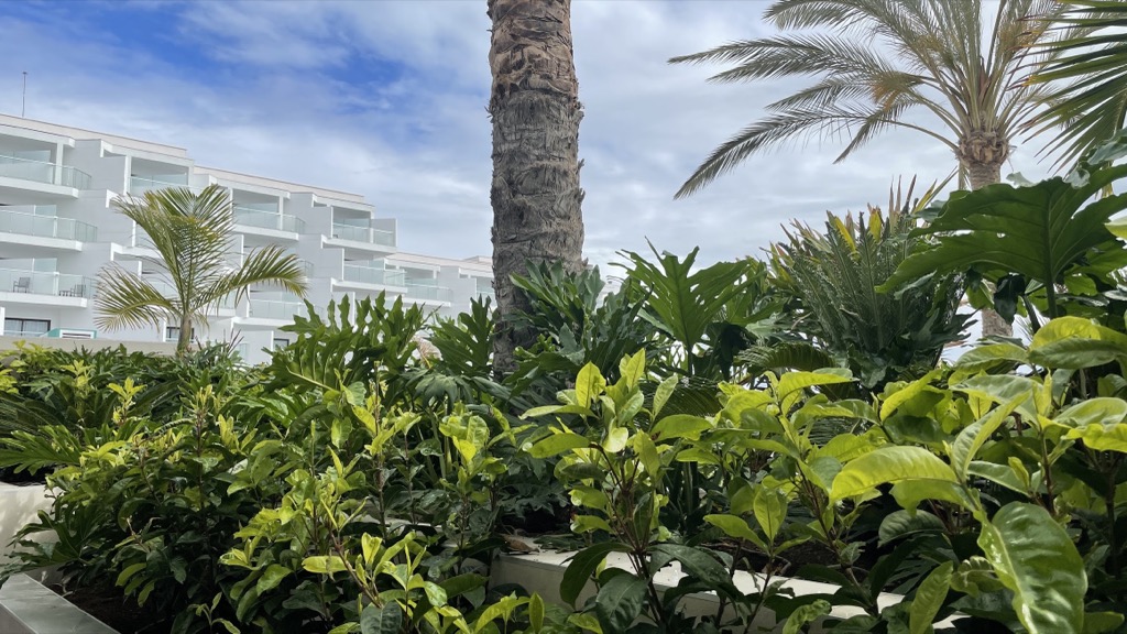 Riu08